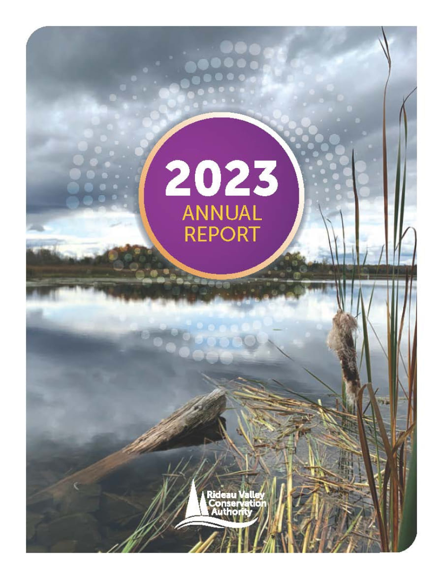 annual report cover