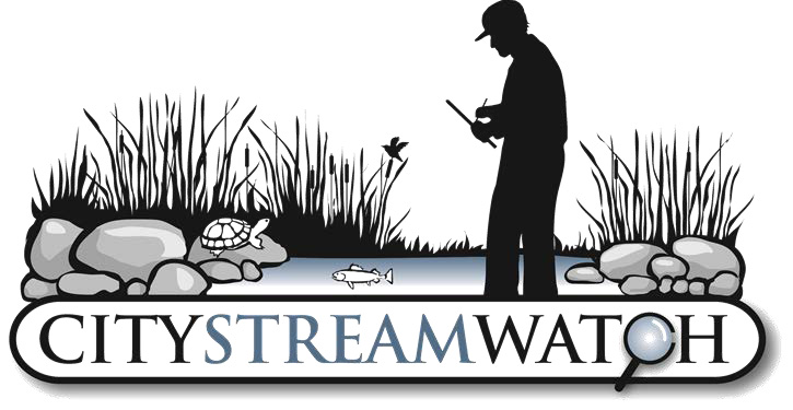 city stream watch logo