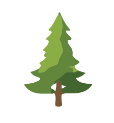 pine tree graphic