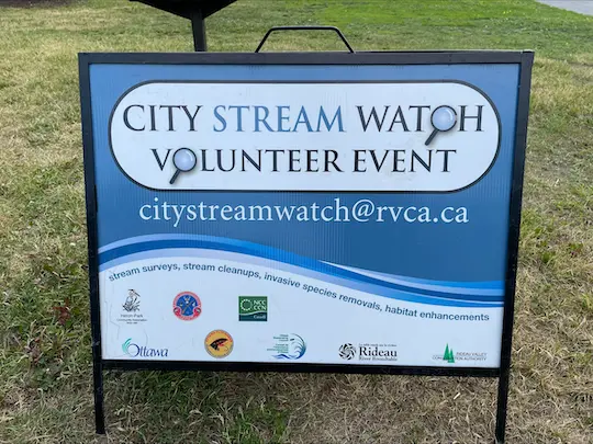 city stream watch sign