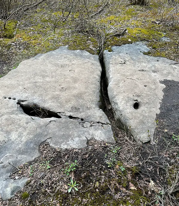 Exposed bedrock shows large cracks and holes