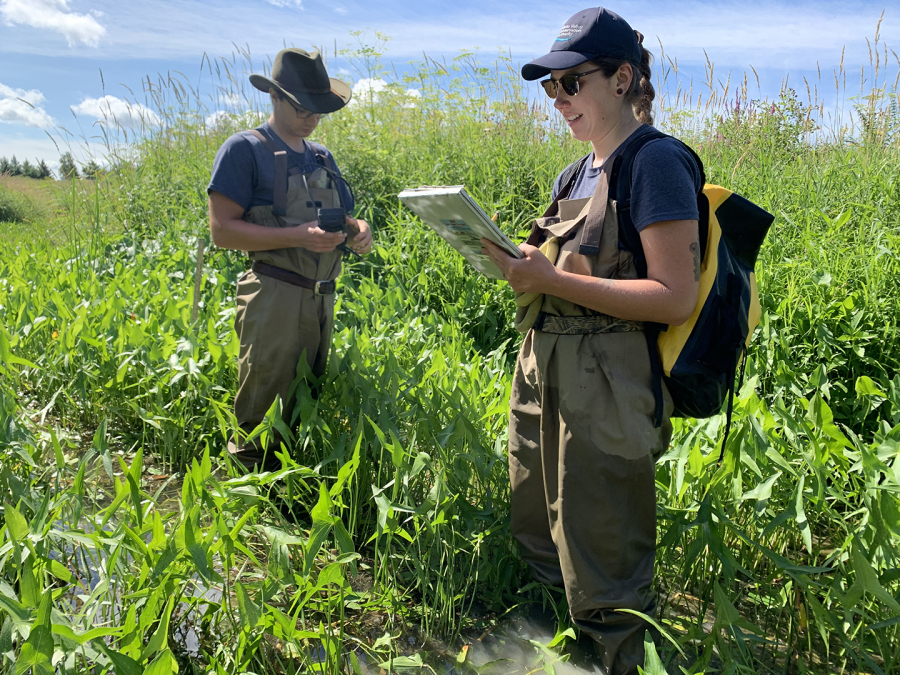 2 individuals monitoring a stream