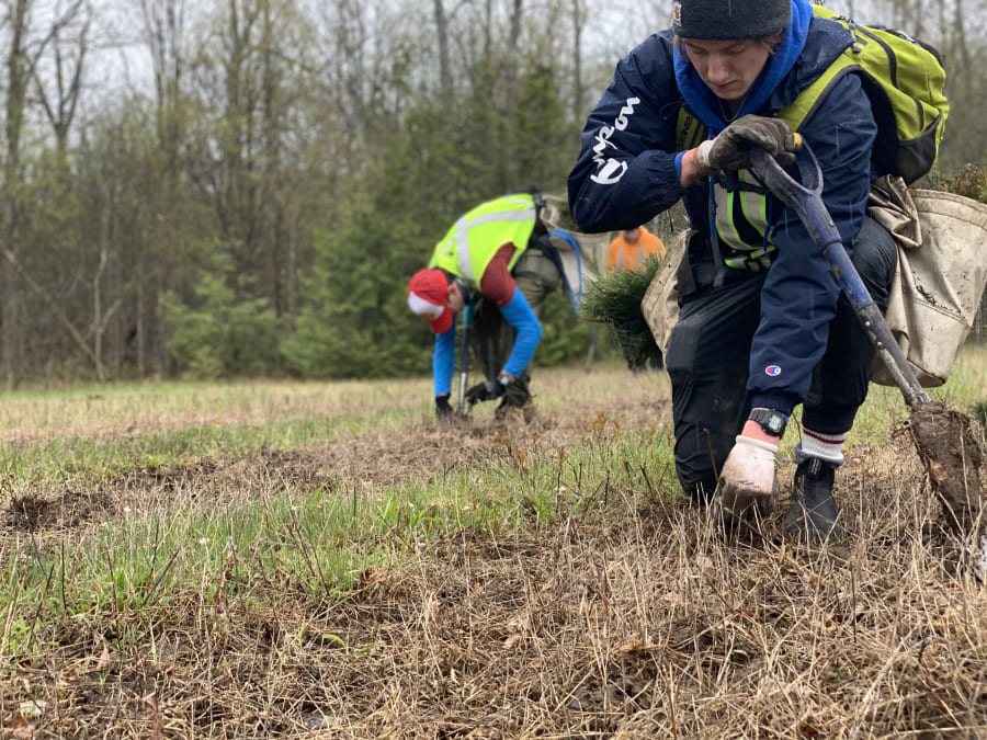 tree planters