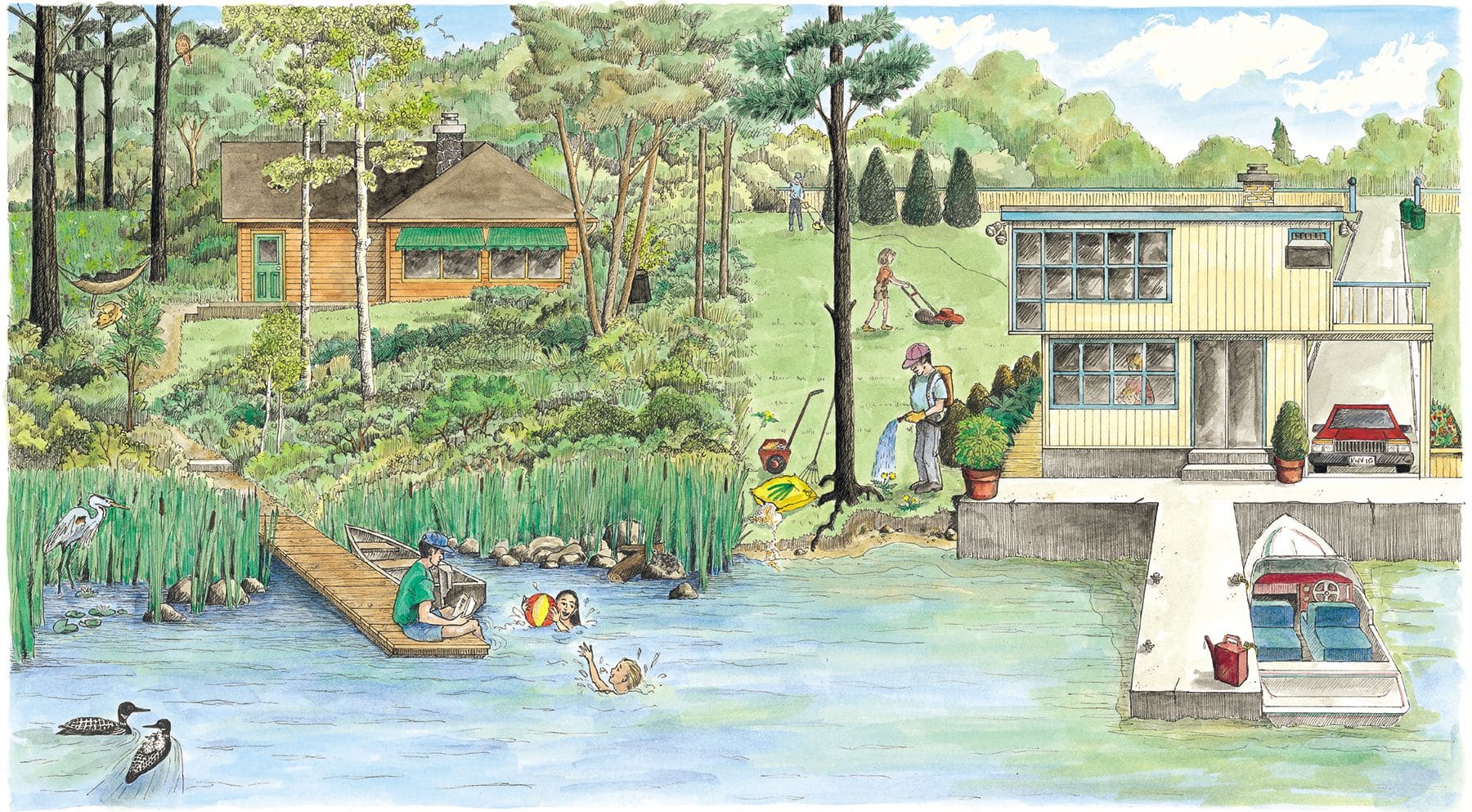 illustration of waterfront living