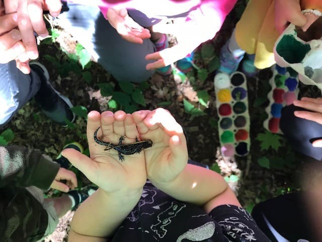 child holding a salamander